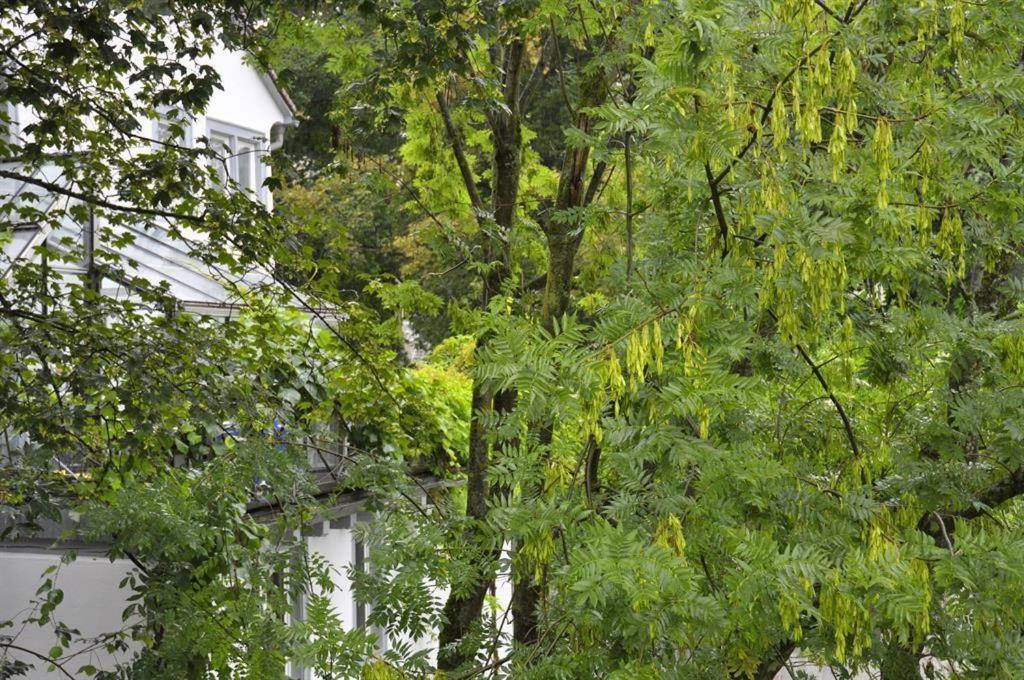 Zum Fischerhaus Constance Extérieur photo
